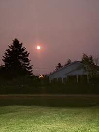 Lovely moon view