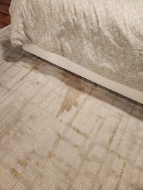 Master bedroom carpet stain