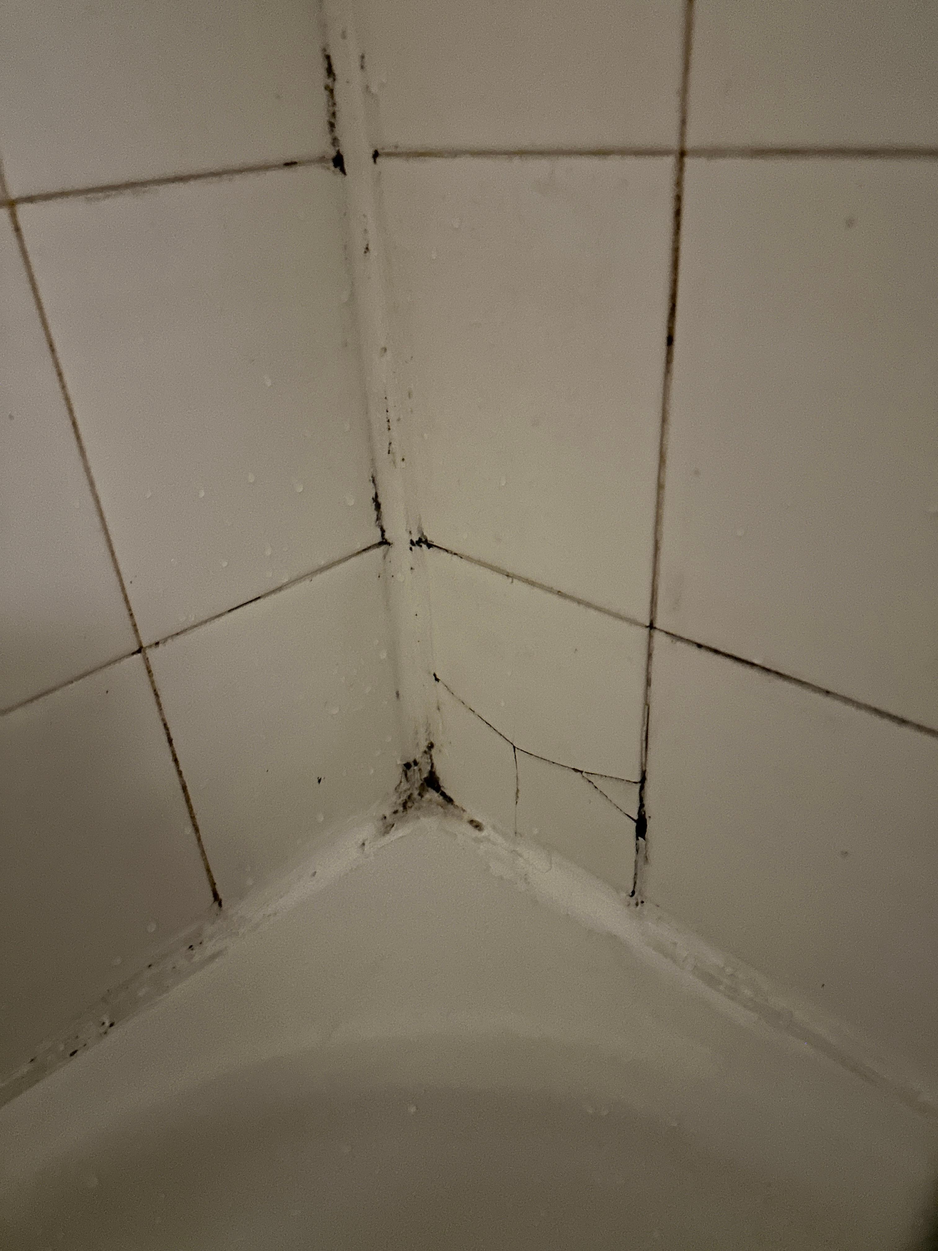 Mold and broken shower tiles