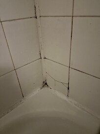 Mold and broken shower tiles