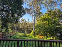 View from deck, fenced garden backs to creek.