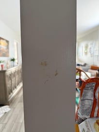 Random brown stains throughout the property
