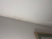 Humedad u hongos en techo y paredes