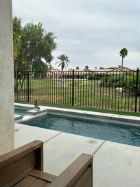 A surprise visitor! We loved seeing hummingbirds, ducks and road runner right in our backyard!