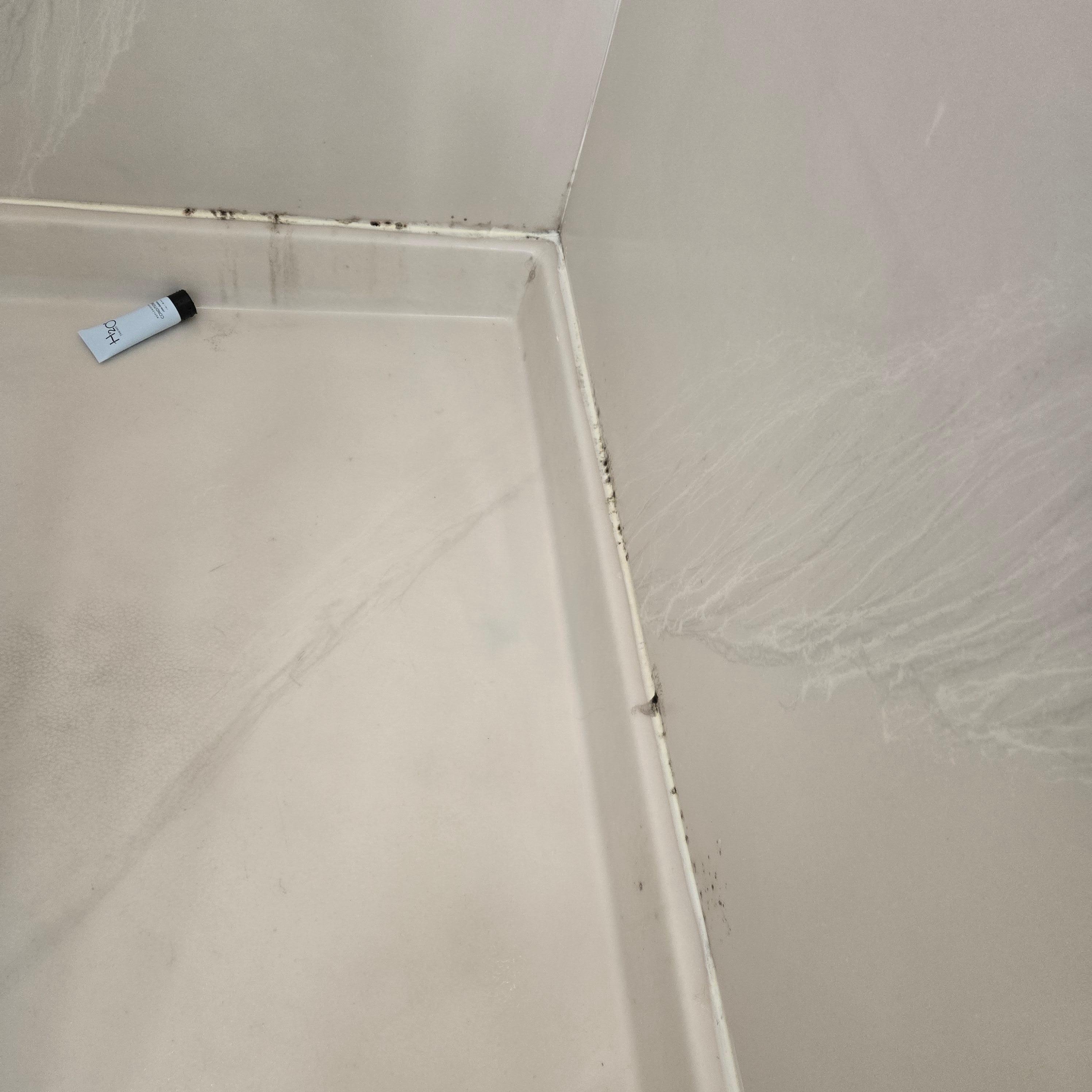 Moldy shower
