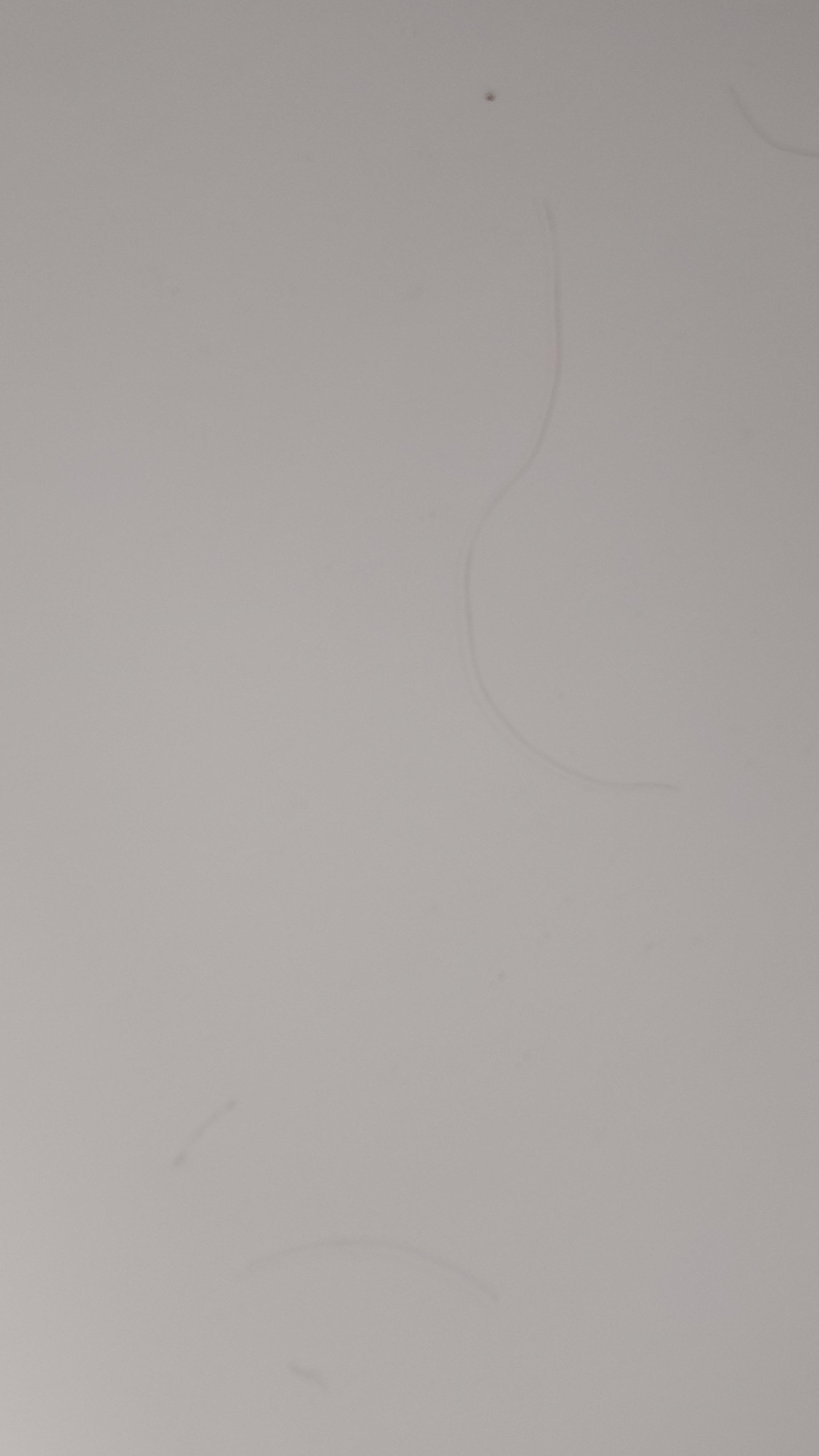 Hair & dirt in the bathtub