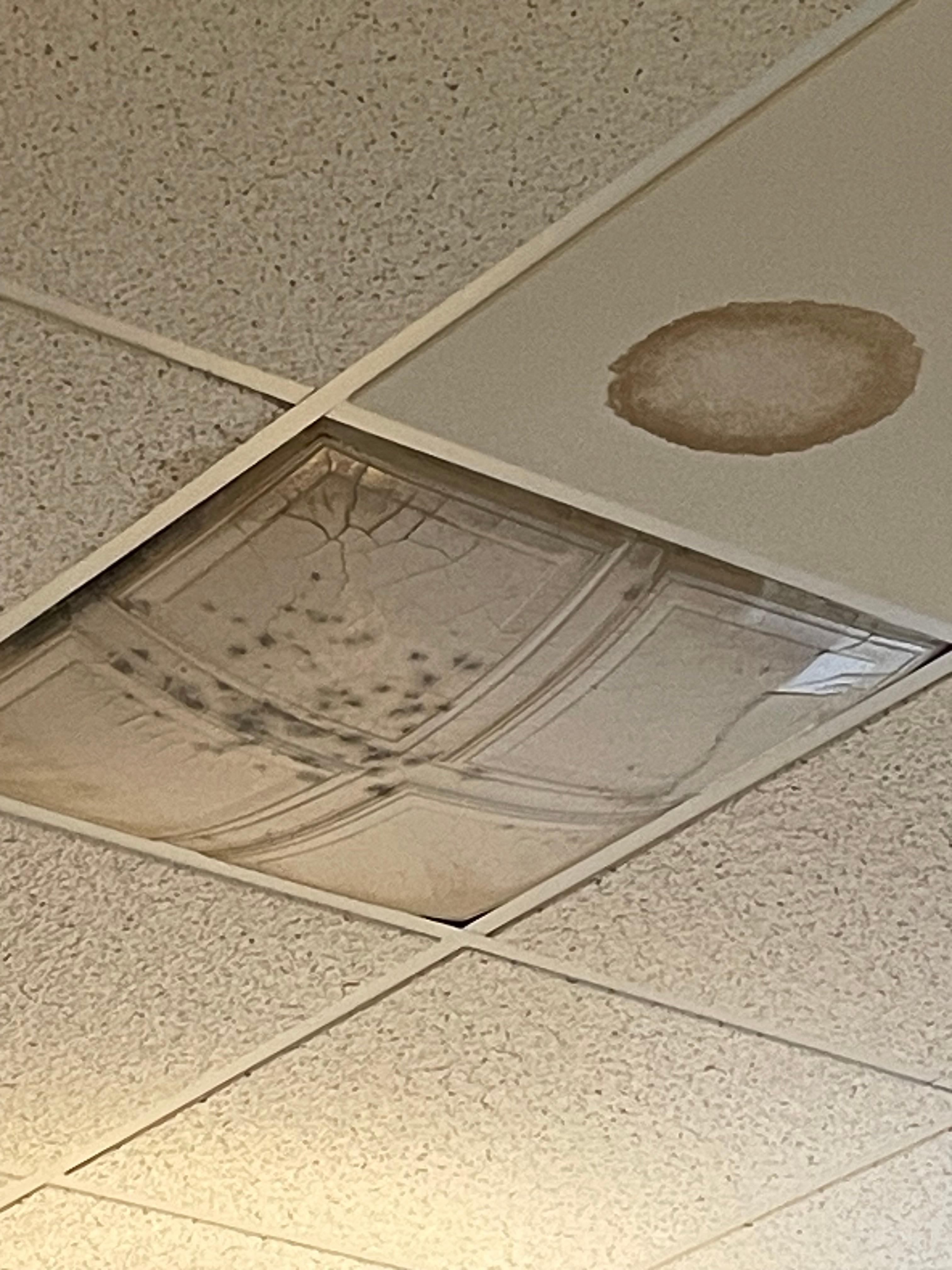 More mold and leaks from roof never addressed  just left to stare at.