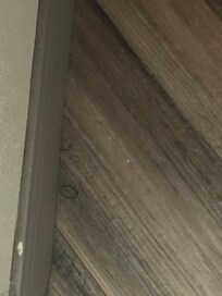 Hair ties, dust and hair in the bathroom