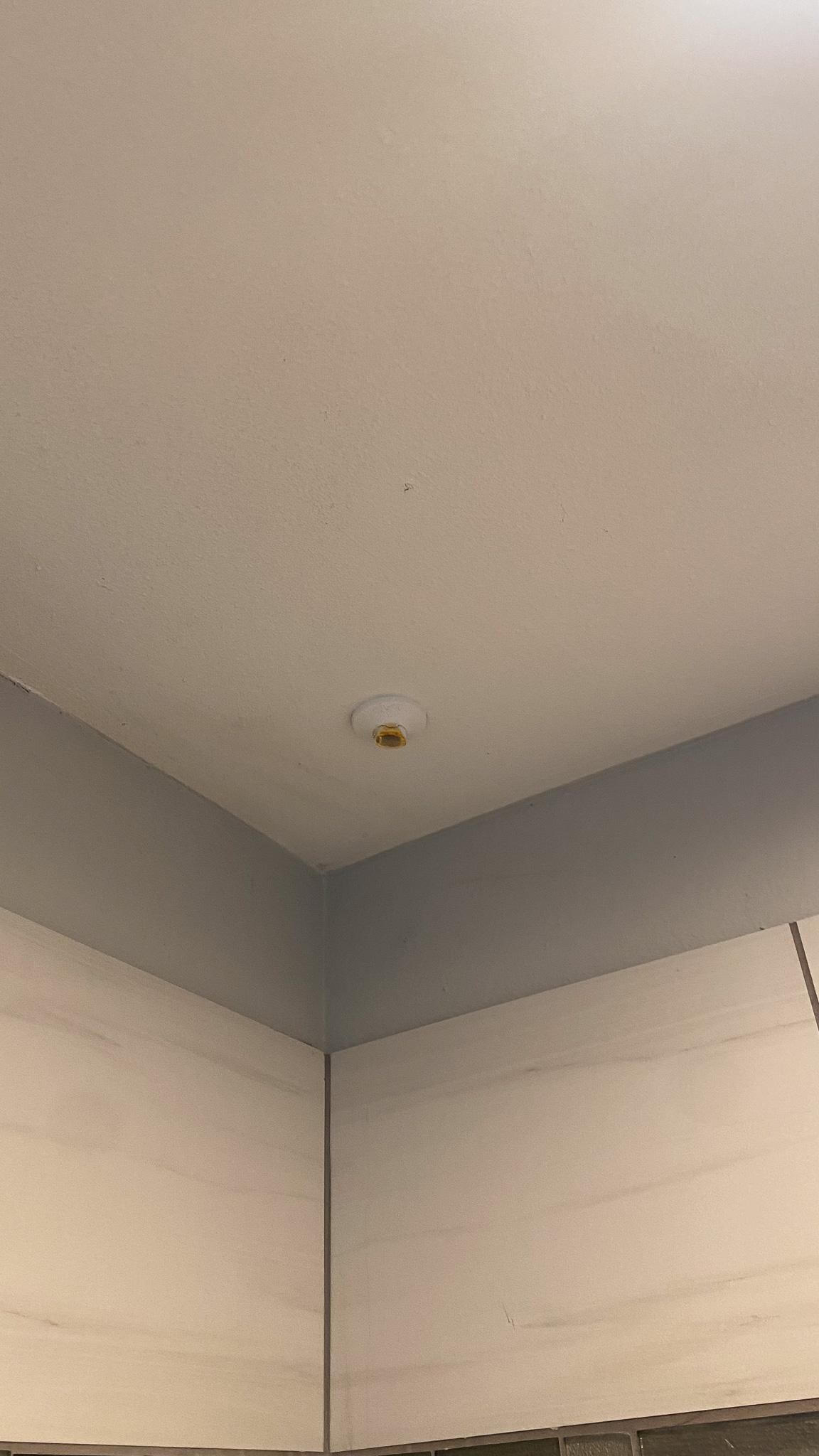 Pipe in shower dripping fluid