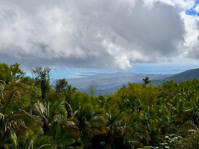 El Yunque