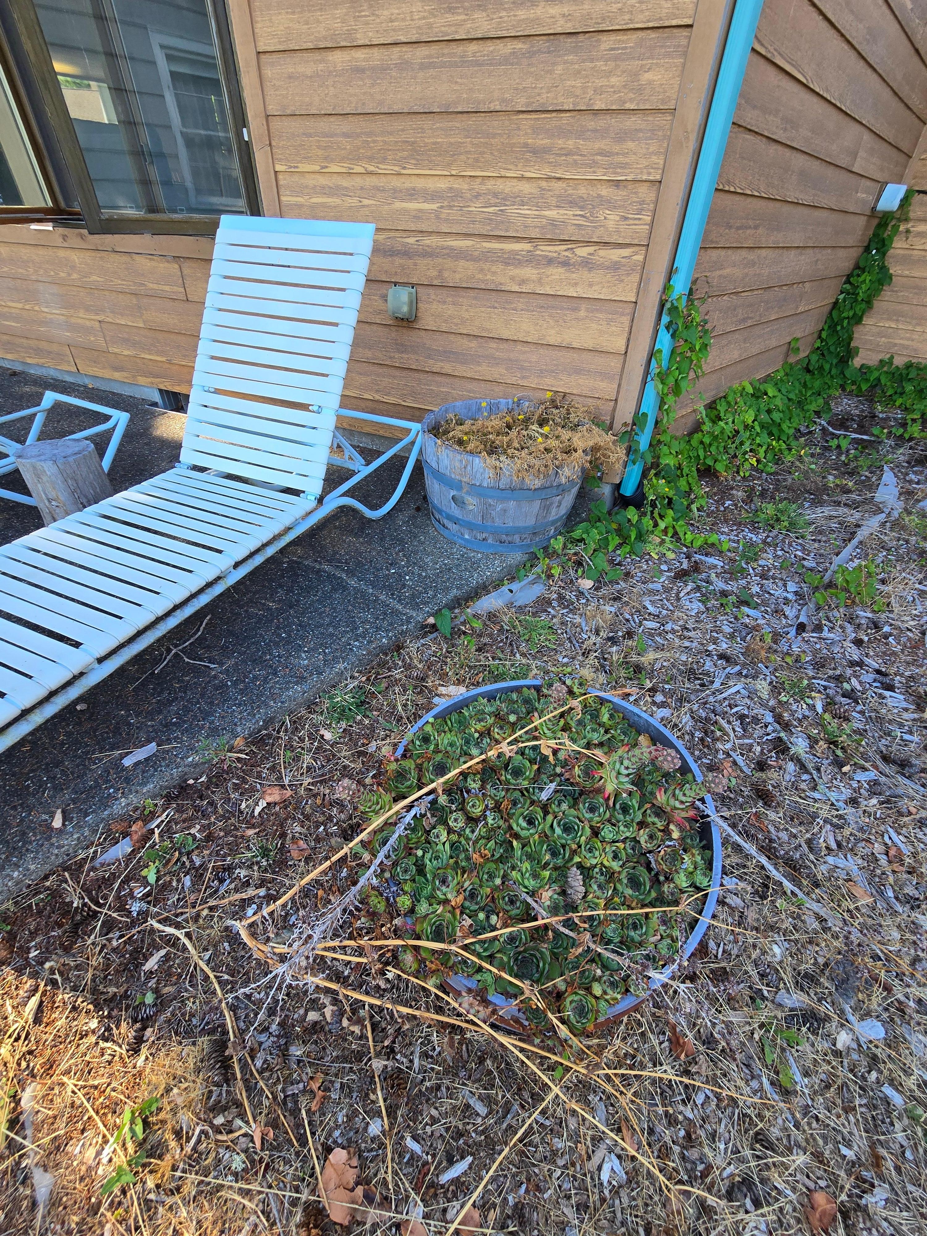 Enjoy the view from these chaise lounges