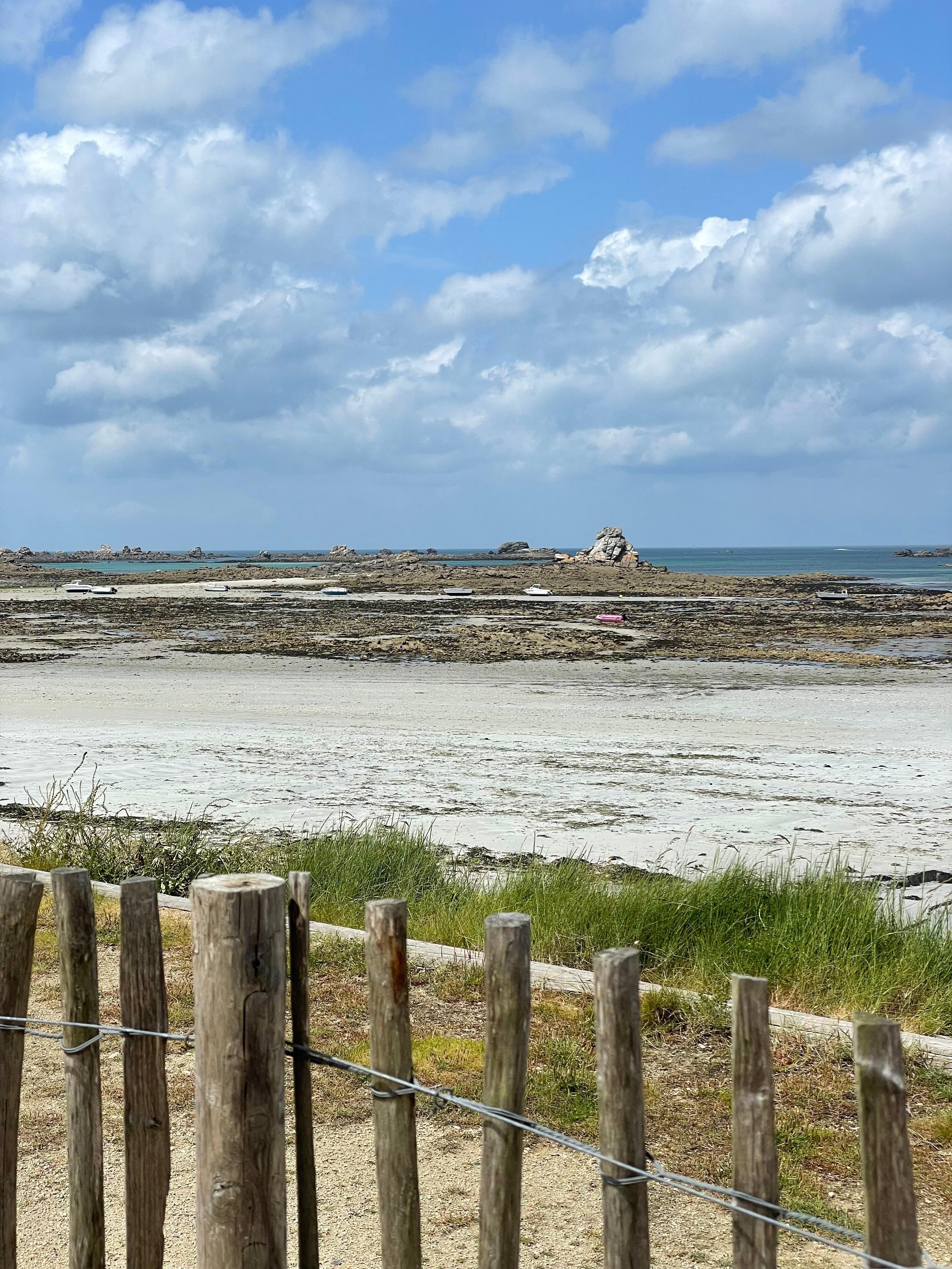 Vue de la terrasse ...la plage à marée basse