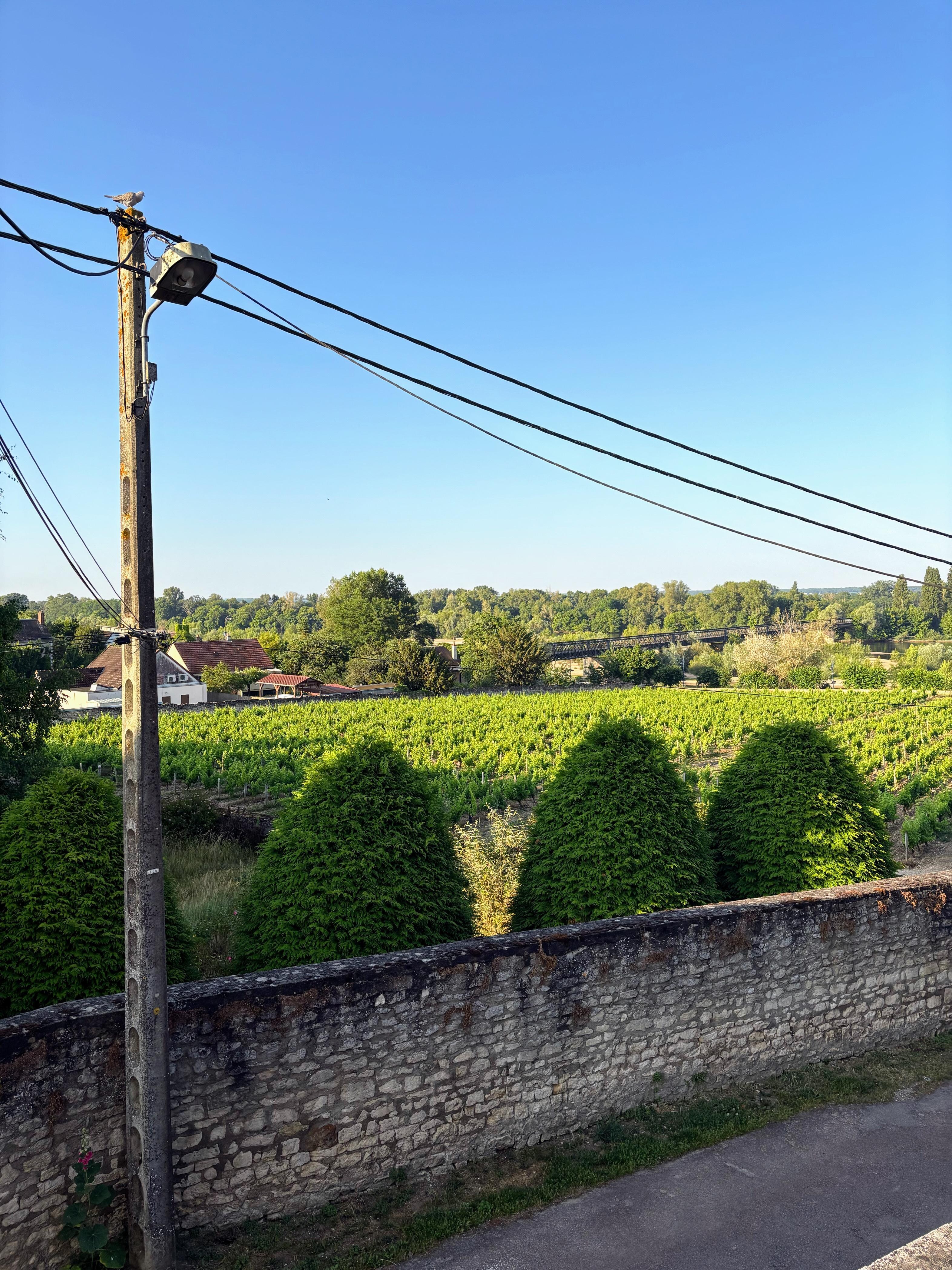 Les chemins sont tres comfortable pour PMR