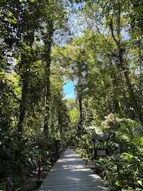 Rodeado de naturaleza