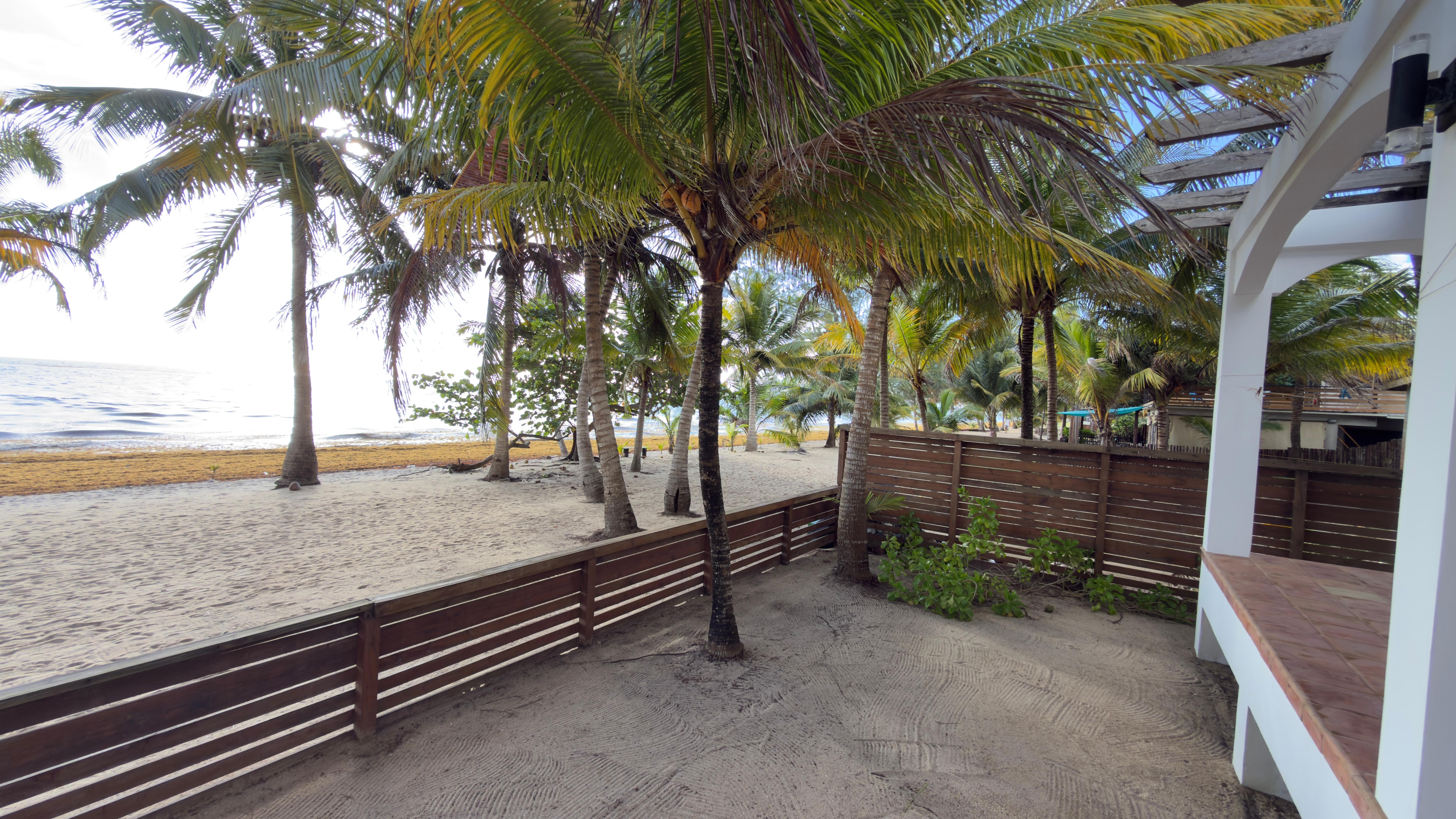 Side view from porch