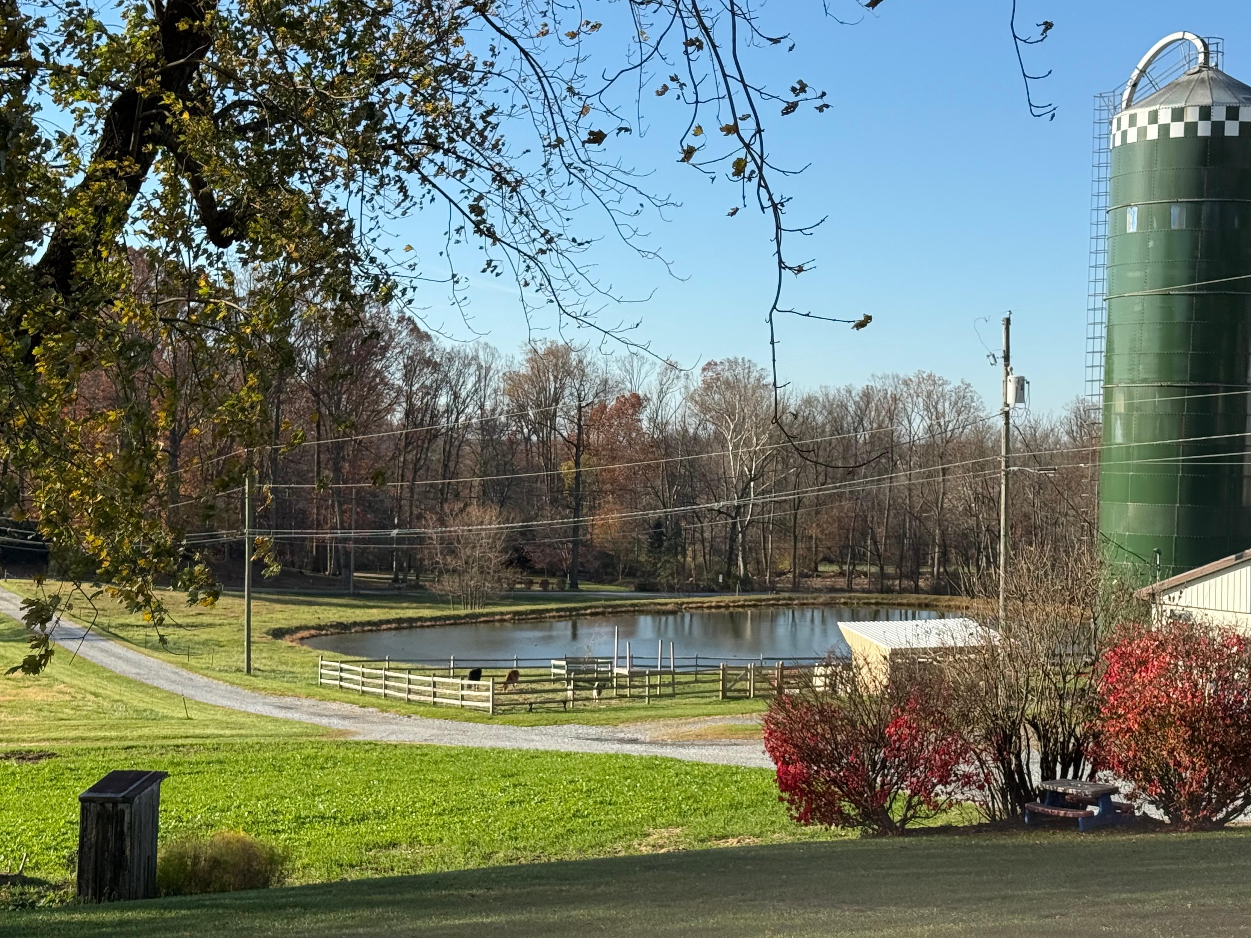 Looking down the driveway from the apartment