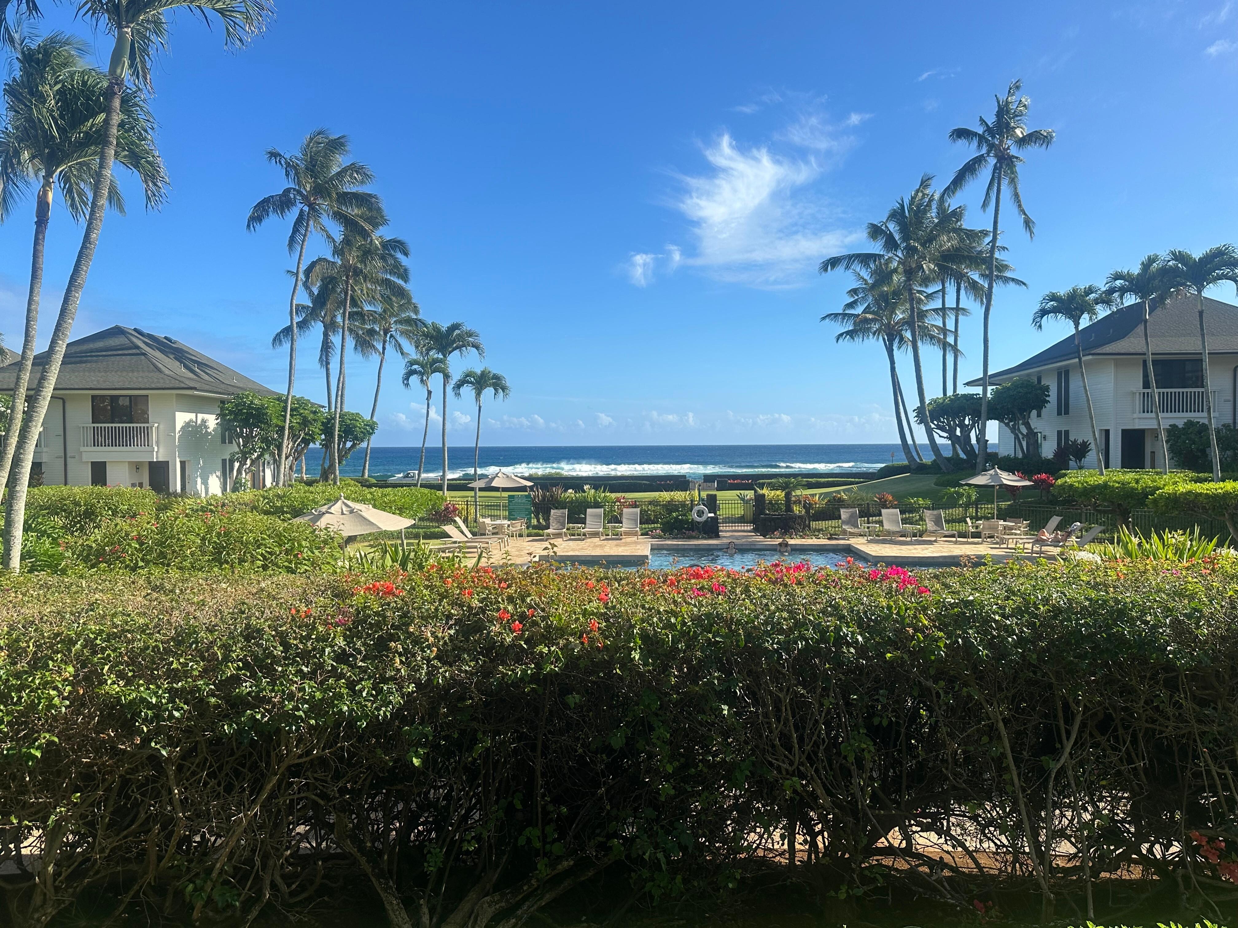 View from #29