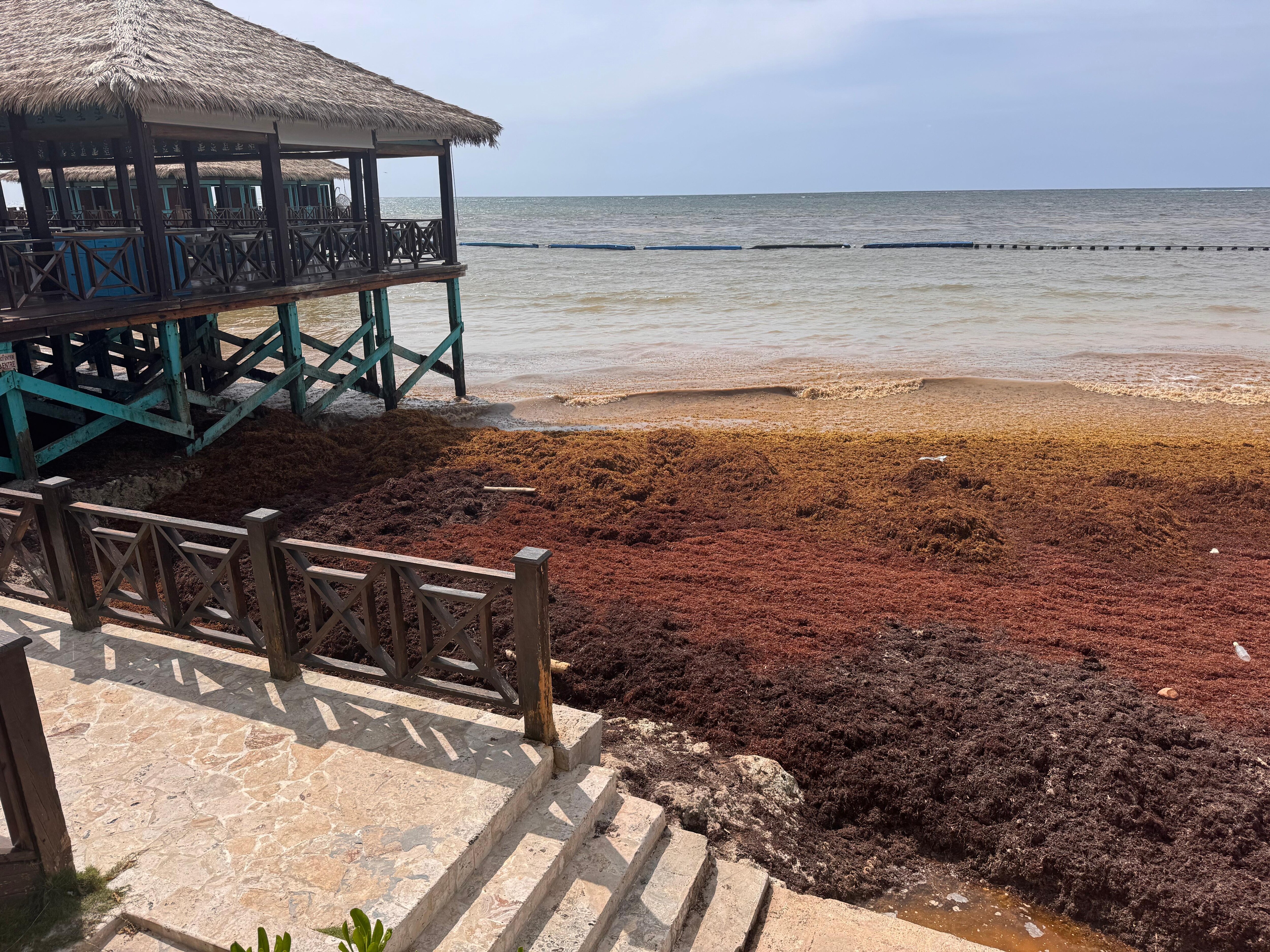 Seaweed through the whole resort making beach unusable.
