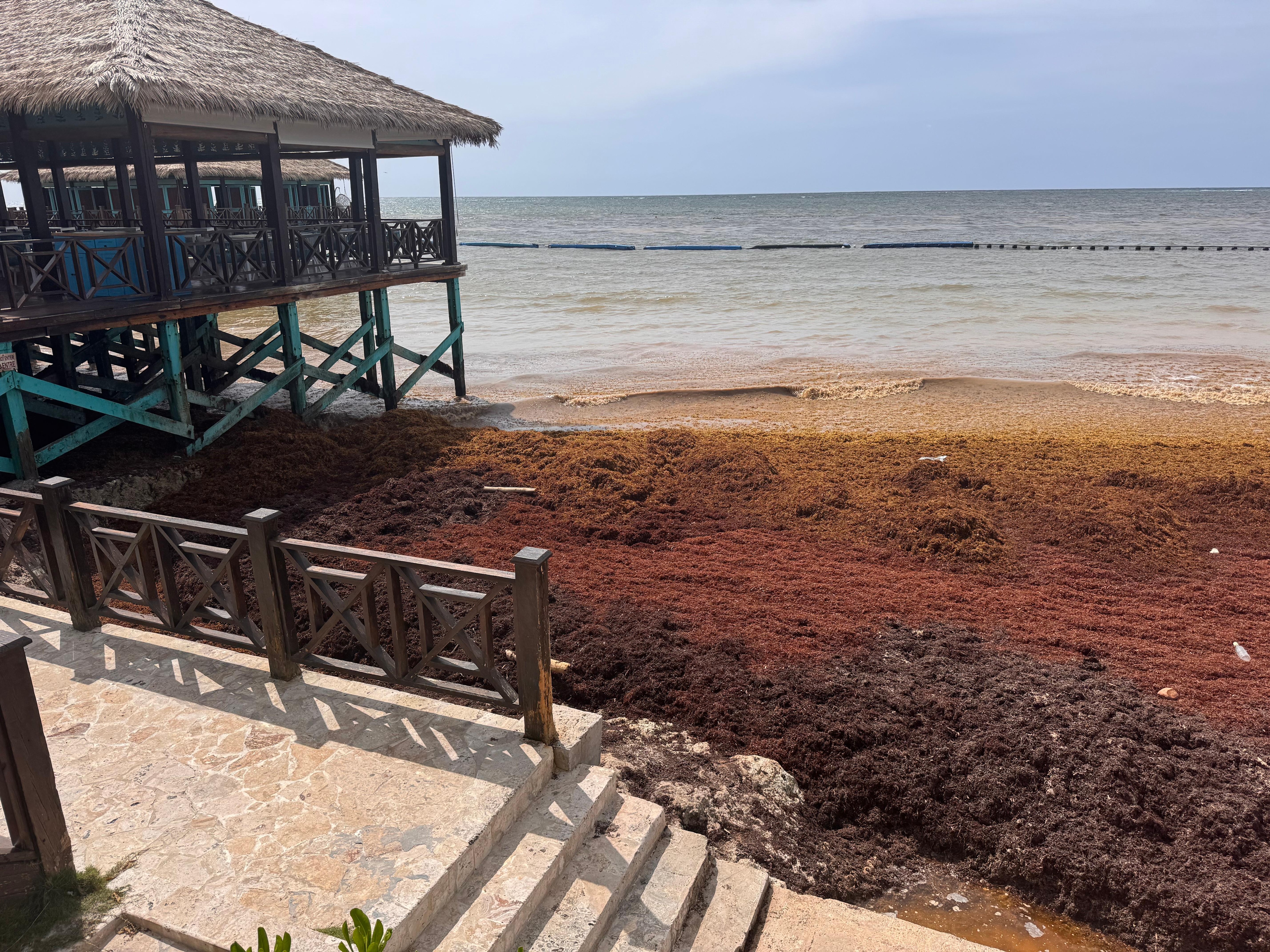 Seaweed through the whole resort making beach unusable.