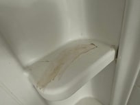 Never cleaned