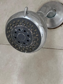 Shower Head
