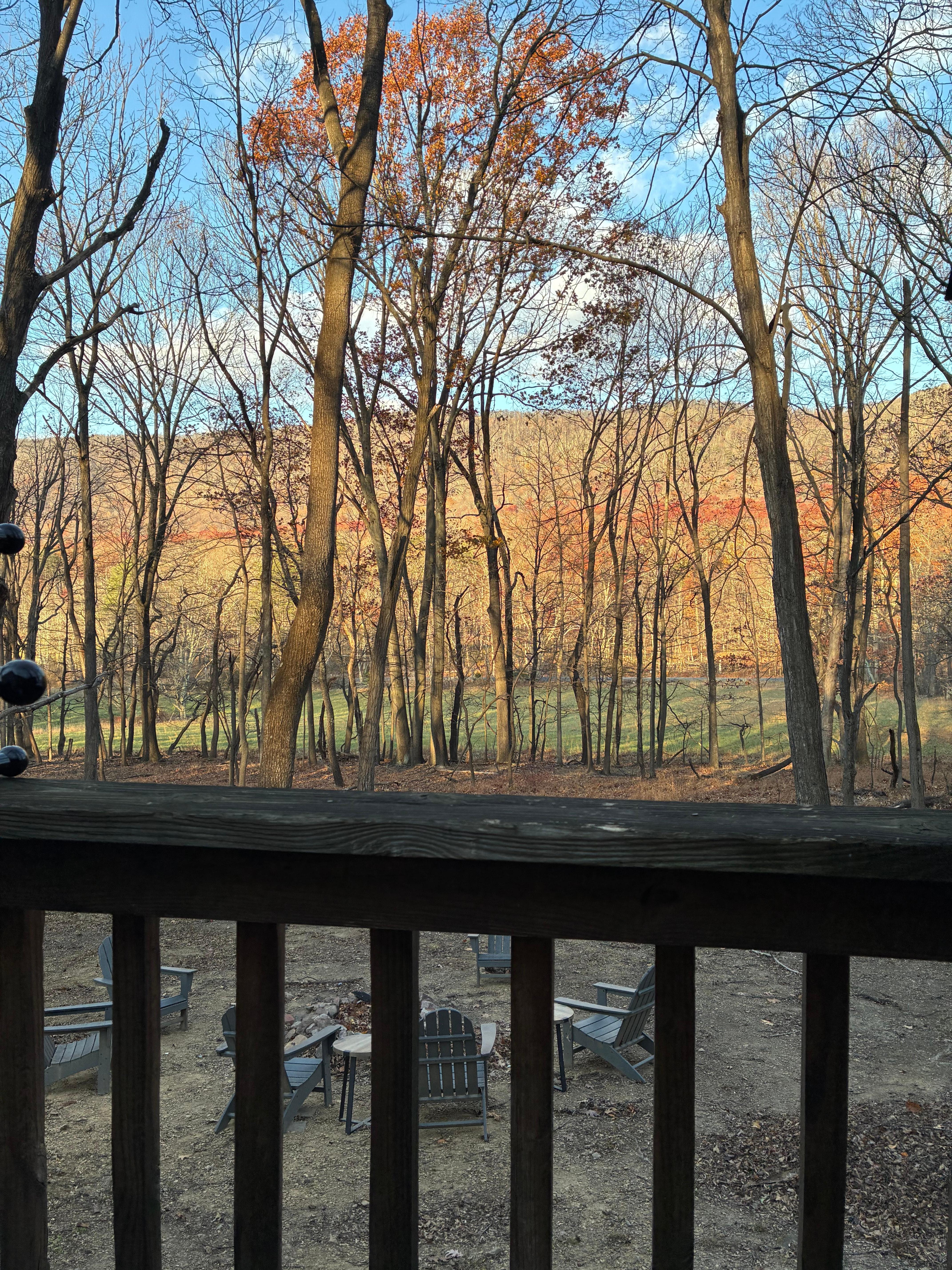 My morning view while having coffee.