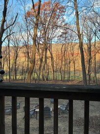 My morning view while having coffee.