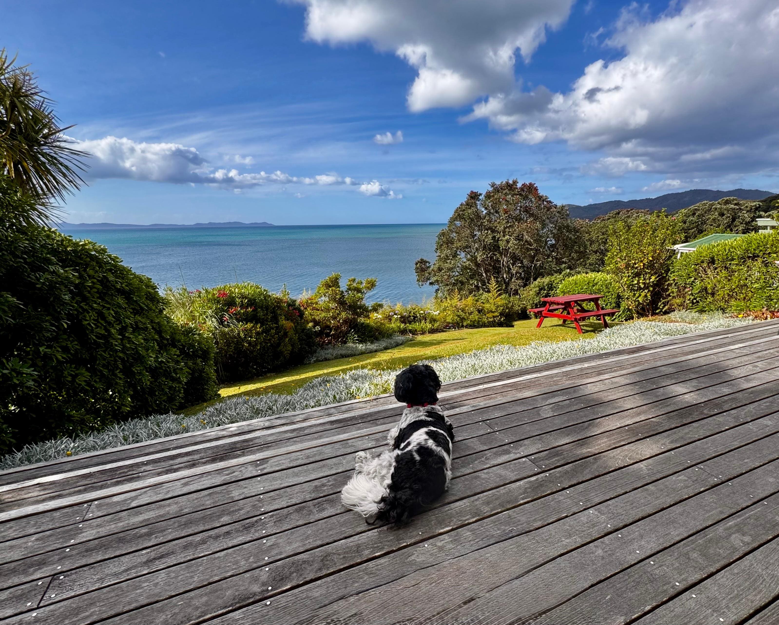 The stunning view from the deck