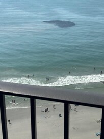 View of a school of fish from the balcony