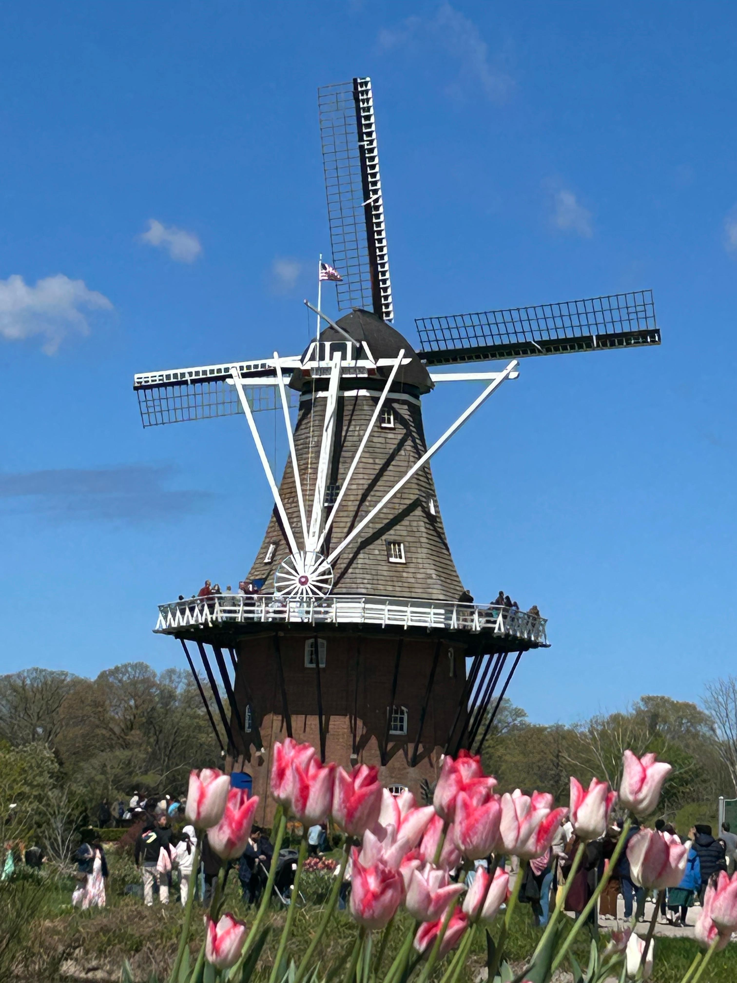 Holland Tulip festival 
