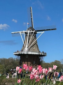 Holland Tulip festival