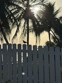 Just beautiful (doesn’t even need a caption!)