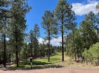Beautiful golf course views throughout Torreon