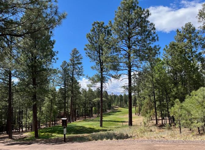 Beautiful golf course views throughout Torreon