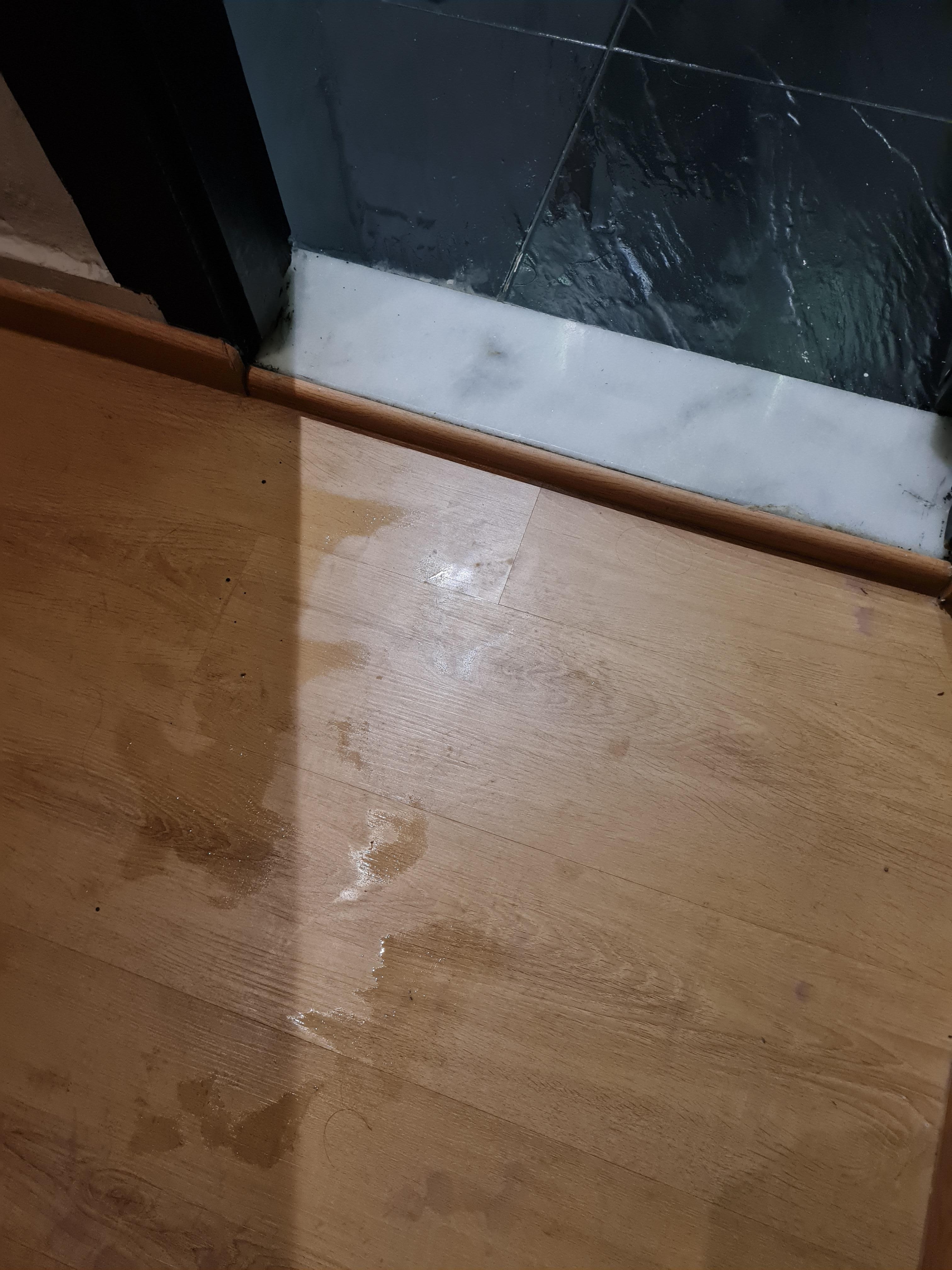 Flooded shower floor