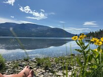 Peaceful chillin' by the marina