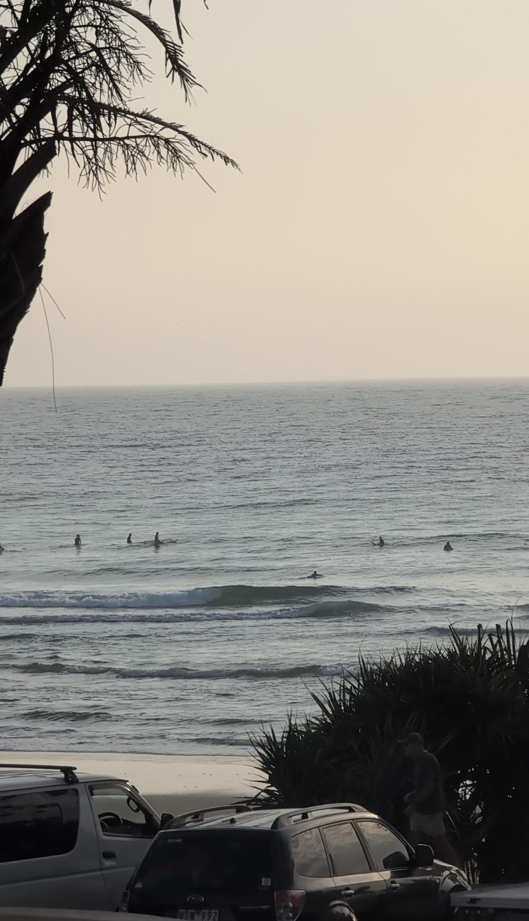 Surfers waiting to catch a wave