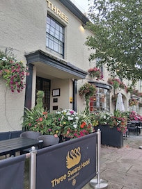 Three Swans outside