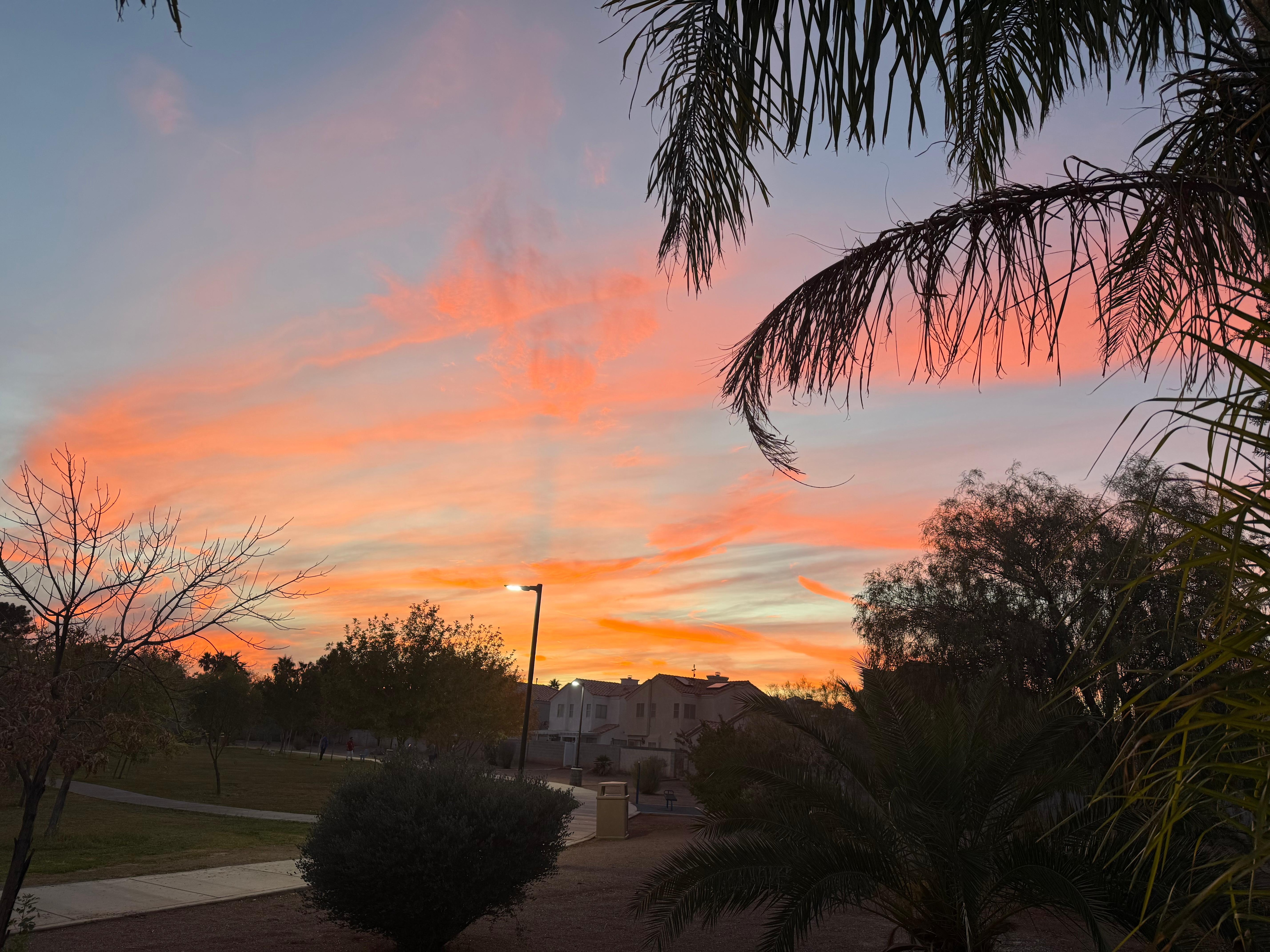 Sunset from the backyard 