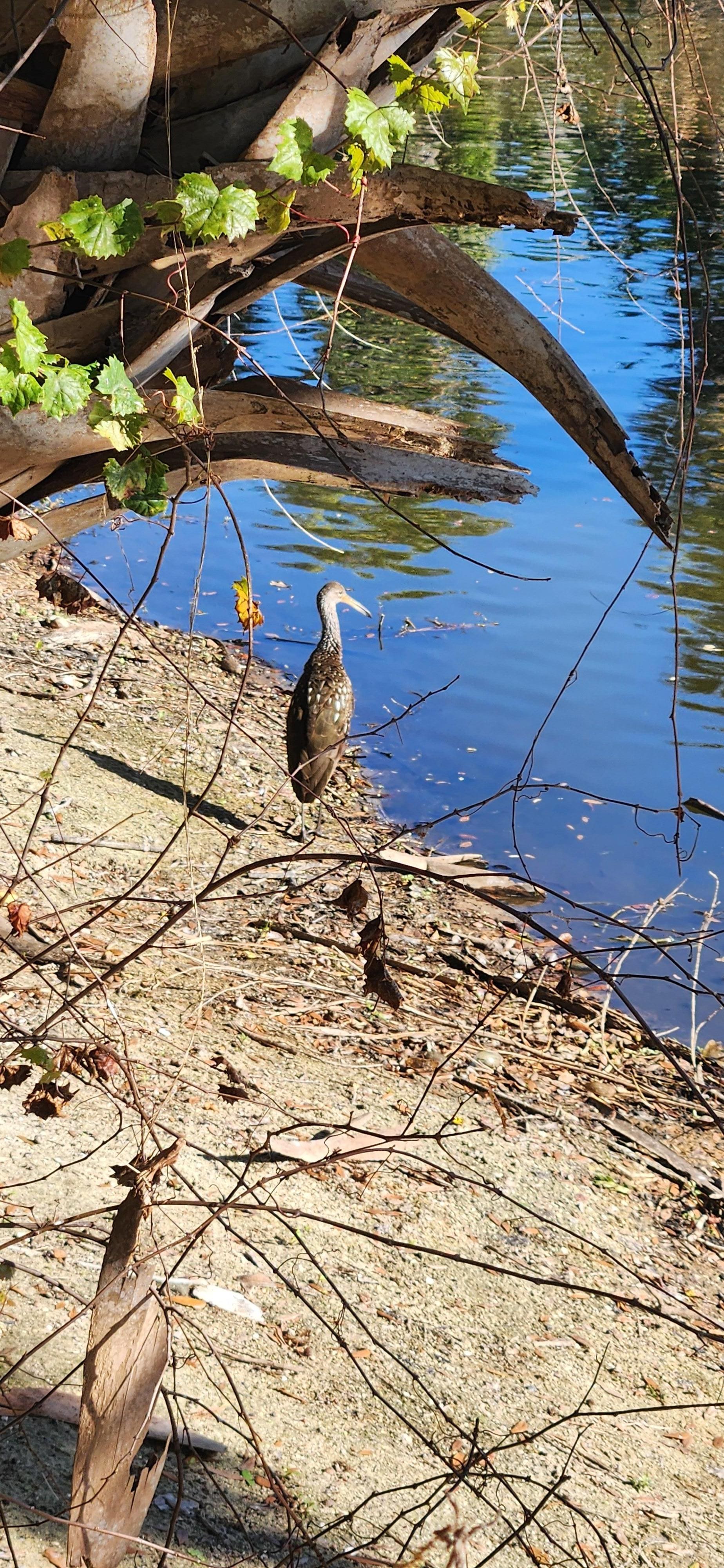 Port Charlotte Beach 
