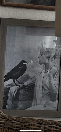 Fun print in living room. Love the movie, The birds.