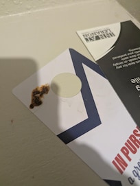 Food encrusted door hangers