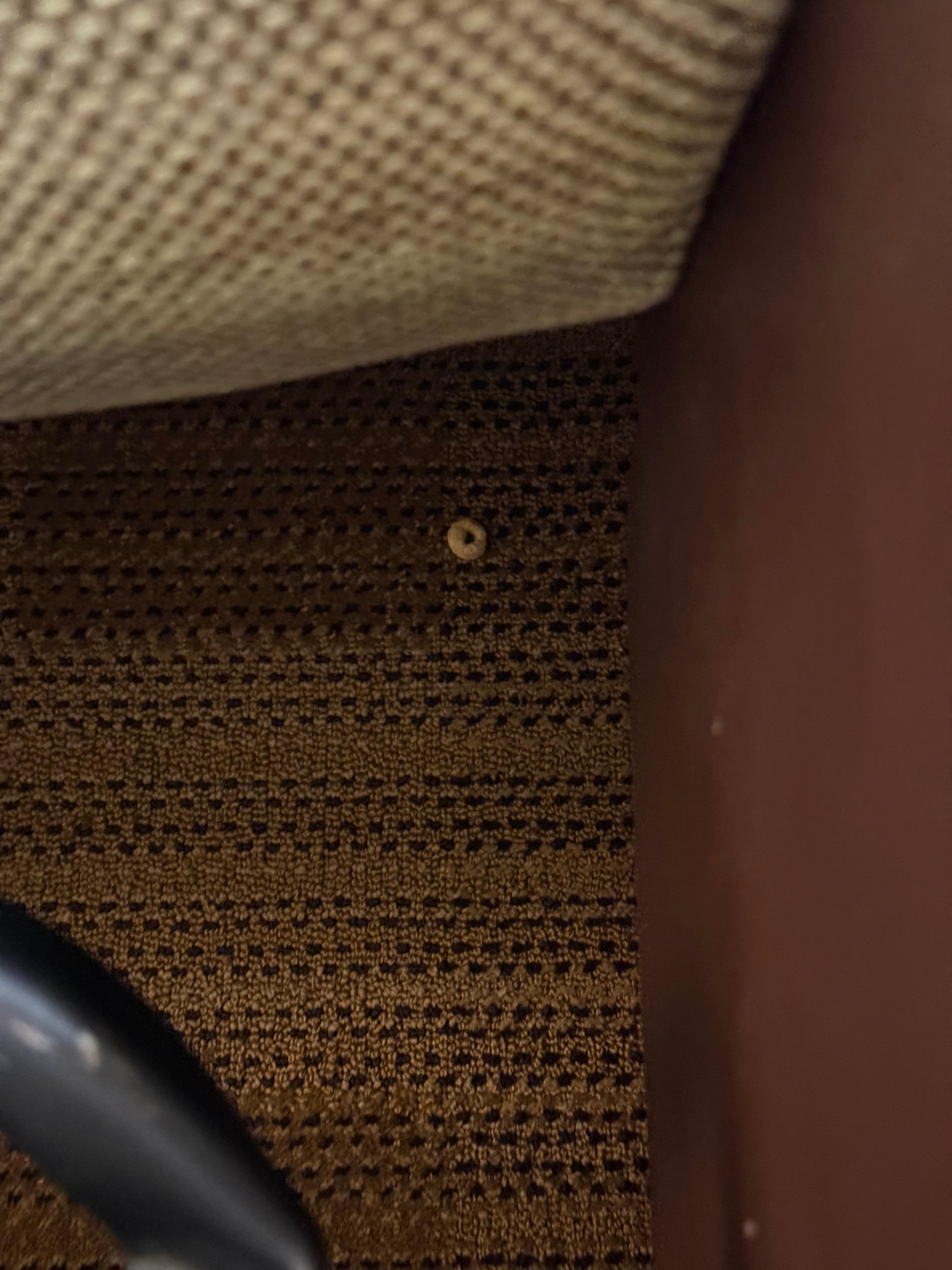 Cheerios under the couch.