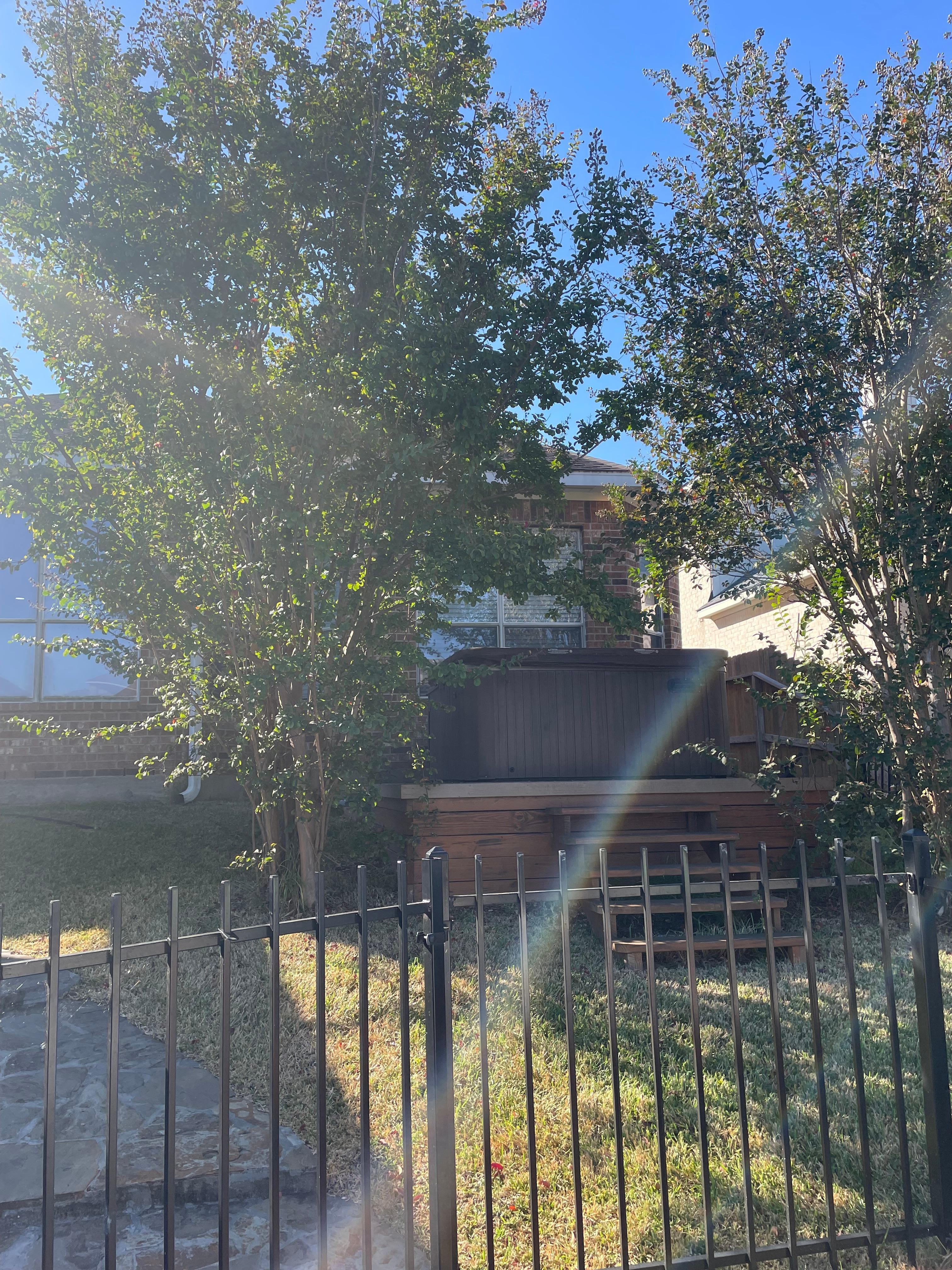Shrubs blocking the hot tub