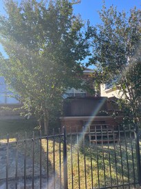Shrubs blocking the hot tub