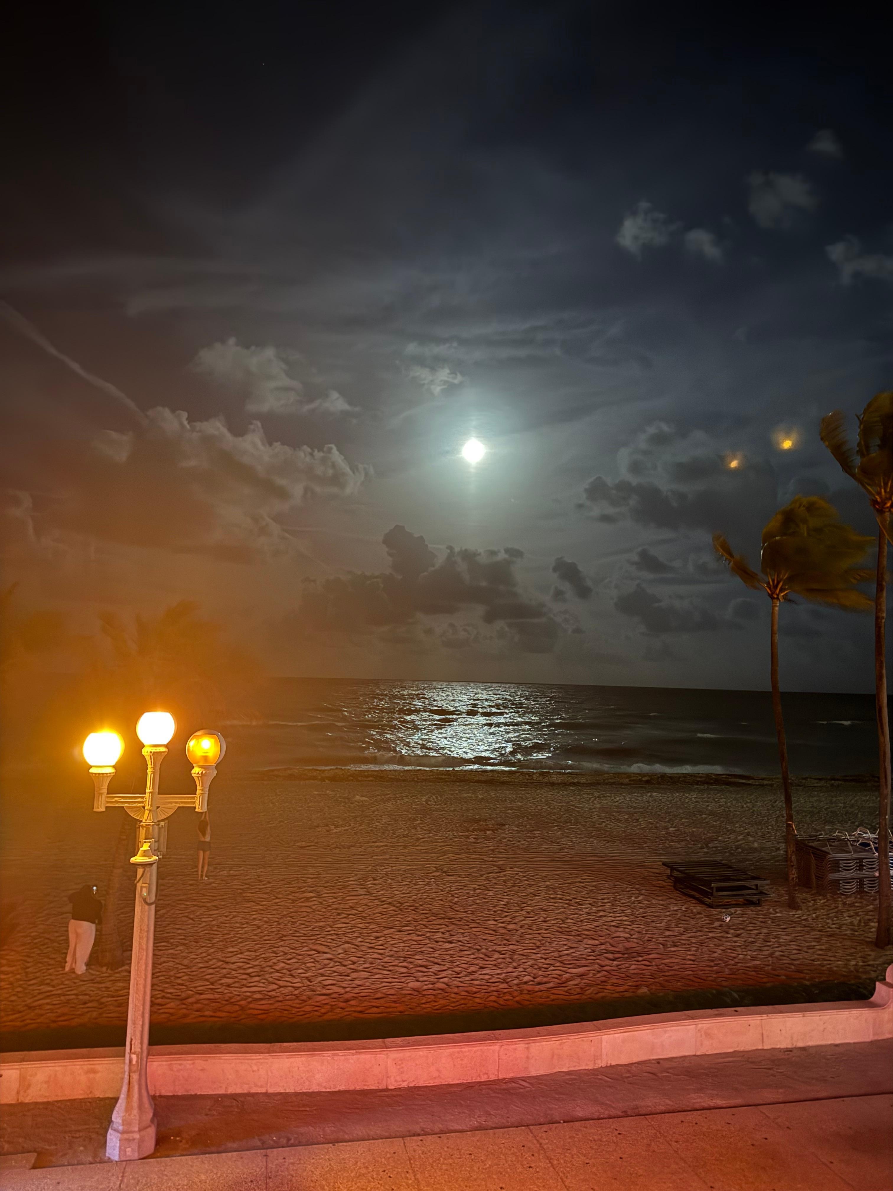 All from the terrace. 