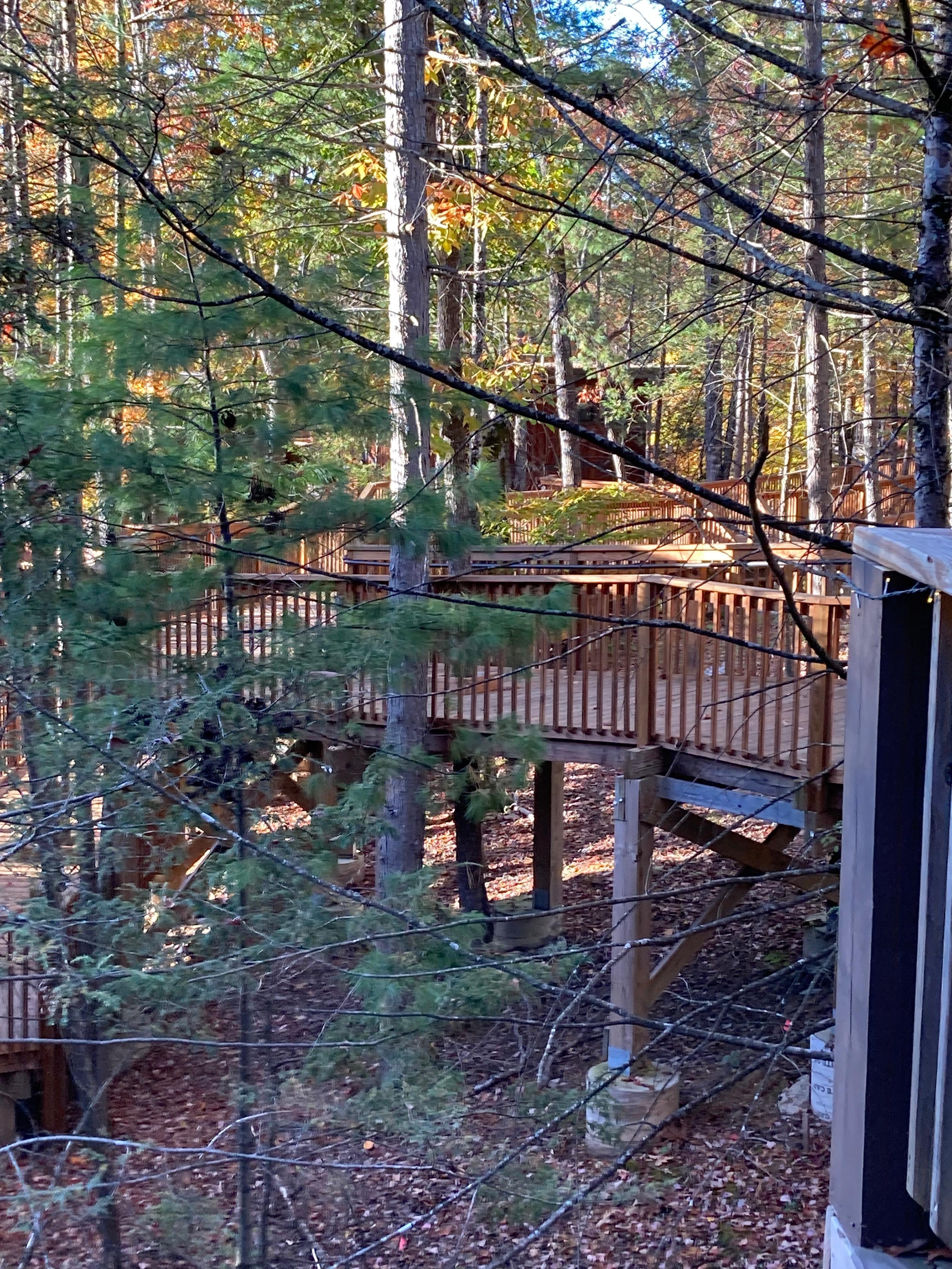 View from our cabin. Nov 2025