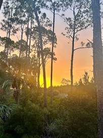 Back deck view
