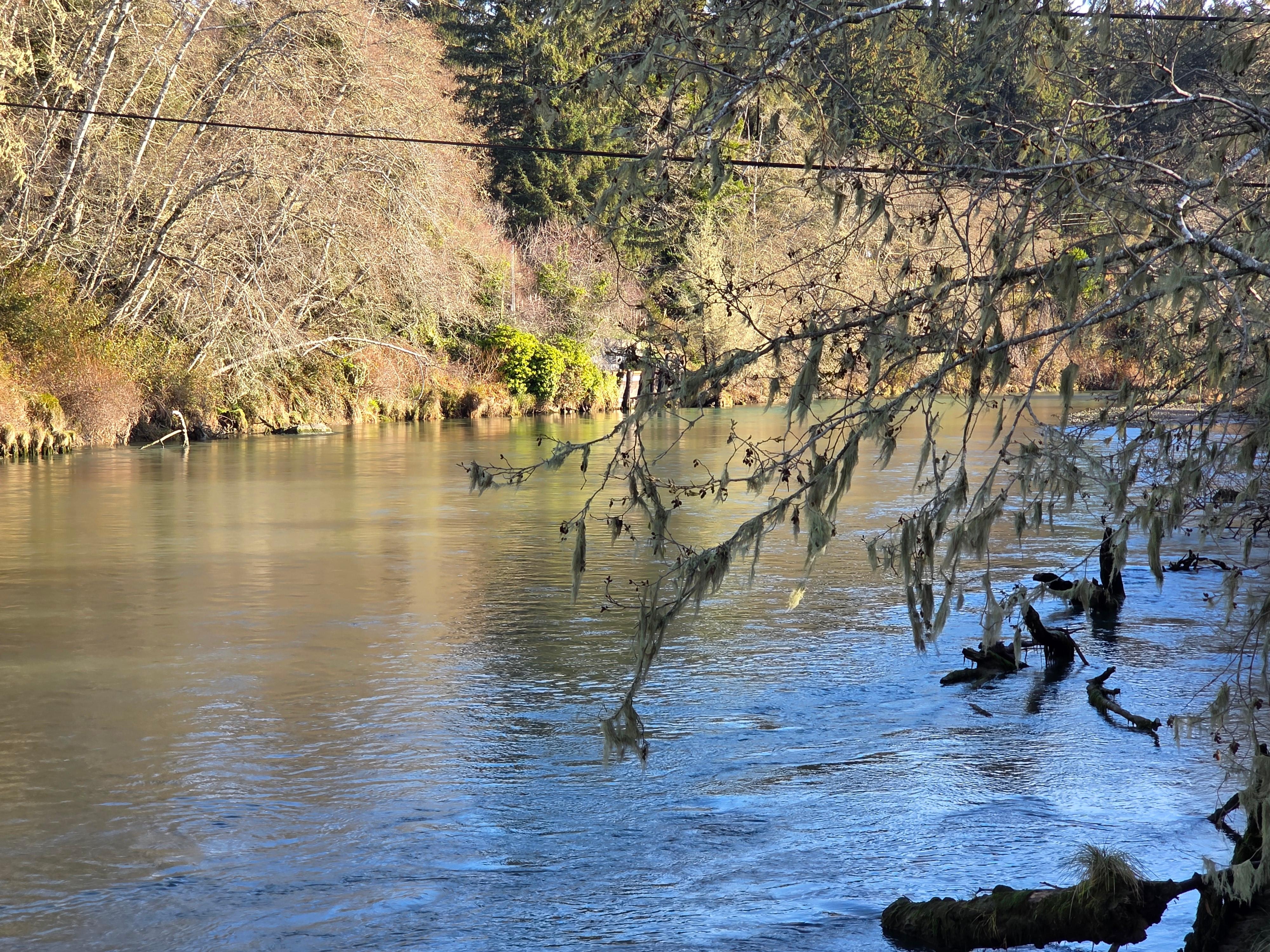 In front of the porch looking upriver.