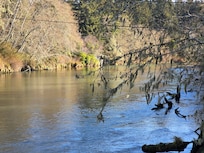 In front of the porch looking upriver.